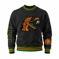 FAMU Sweatshirt Remix