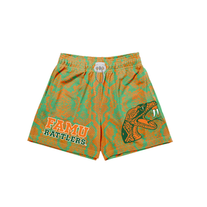 FAMU Shorts (Mesh)