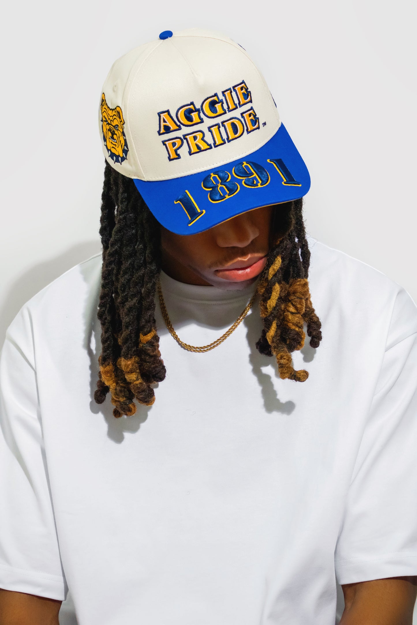 NCA&T Hat - Aggie Pride - 1921Movement