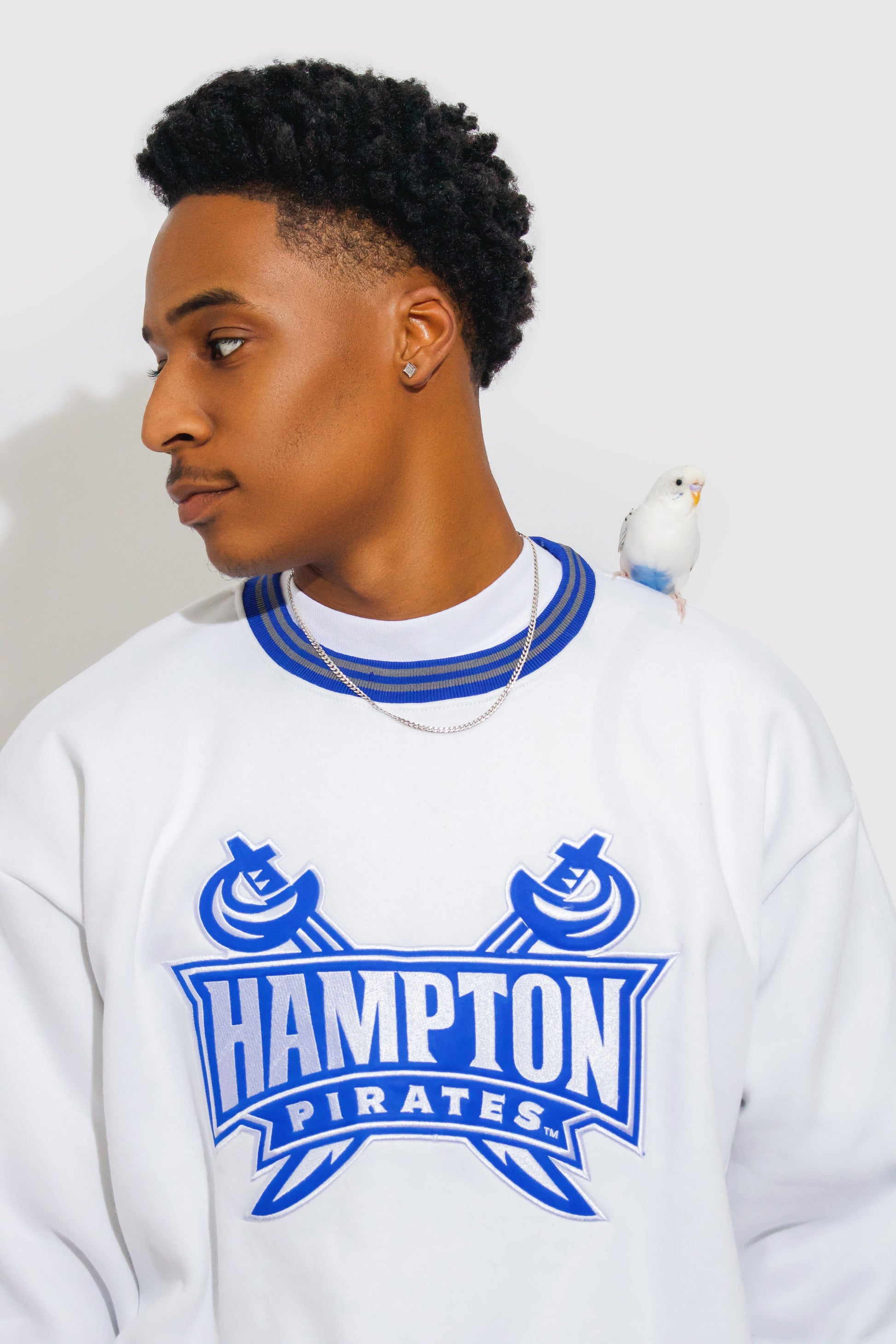 Hampton University Sweatshirt - 1921Movement