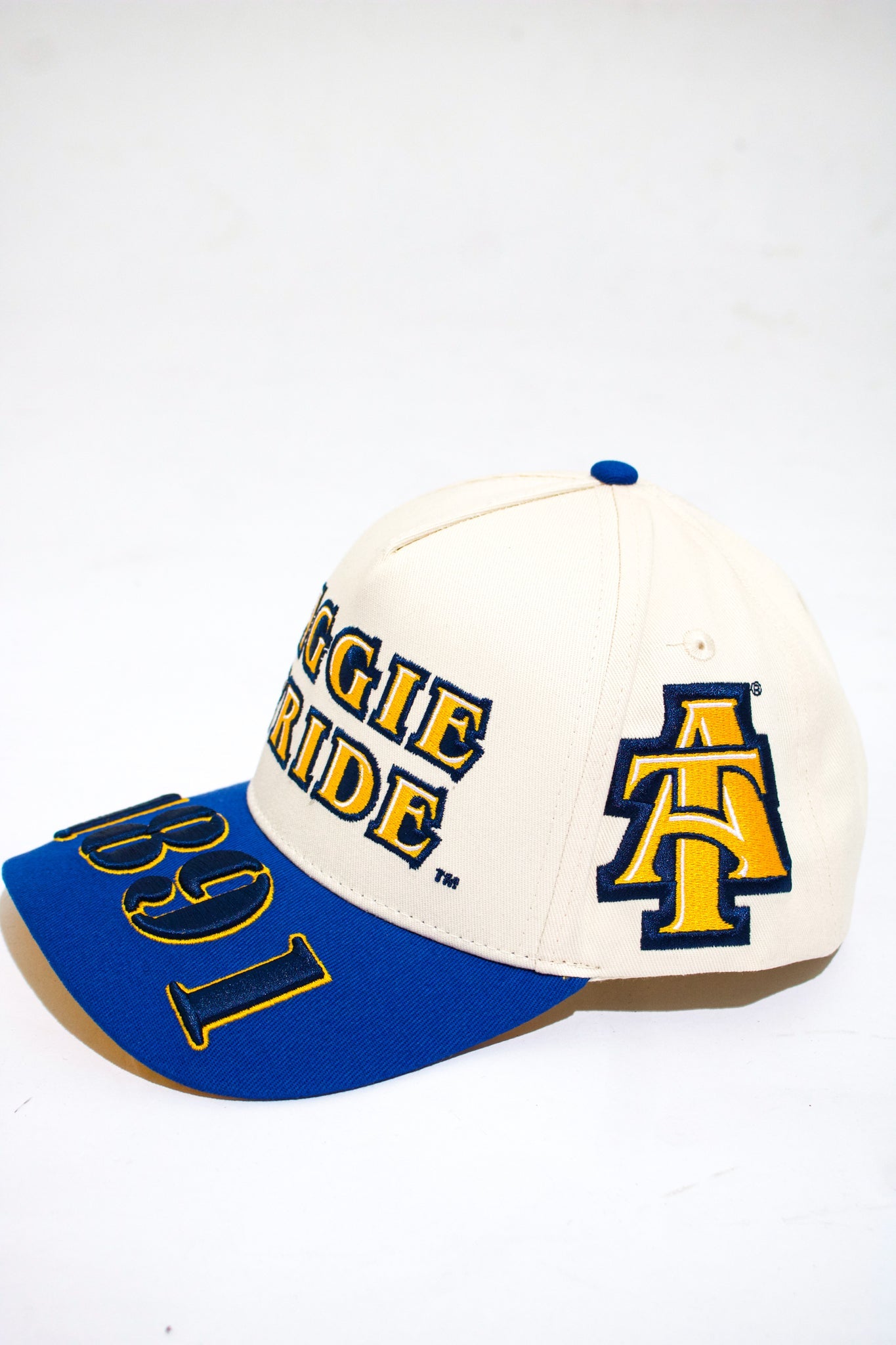 NCA&T Hat - Aggie Pride - 1921Movement