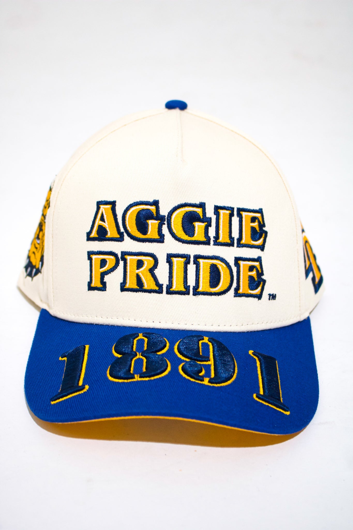 NCA&T Hat - Aggie Pride - 1921Movement