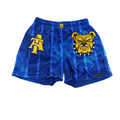 NC A&T Galaxy Shorts