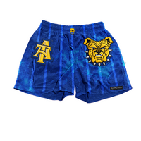 NC A&T Galaxy Shorts