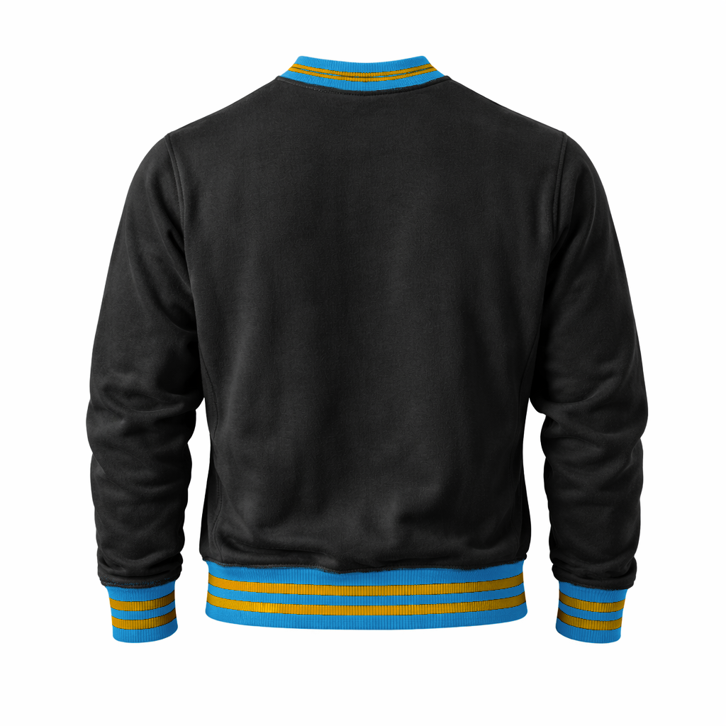 Southern University Sweatshirt Remix